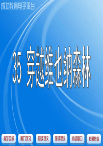 沪教版五年级语文上册《穿越维也纳森林》课件