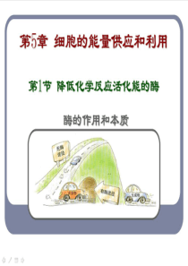 新人教版必修1高中生物降低化学反应活化能的酶 ppt