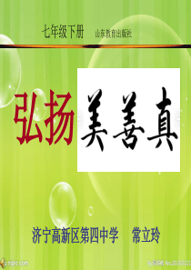 弘扬真善美_初二下人美版美素模板