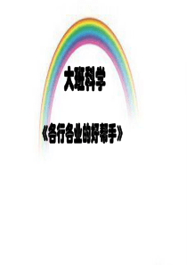 大班科学《各行各业的好帮手》