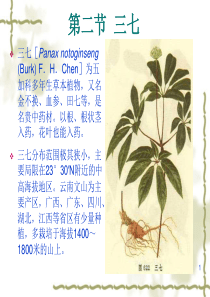 [药用植物栽培学]三七栽培技术