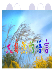北师大版小学三年级下《大自然的语言》ppt课件