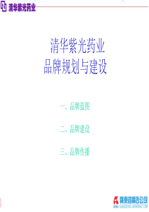 ××药业品牌规划与建设(3)
