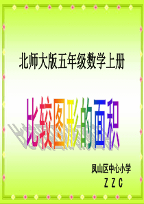 北师大版数学五年级上册《比较图形的面积》公开课及习题(修改)