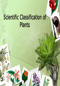 植物的科学分类英文版