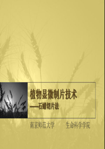 植物石蜡切片法显微制片技术