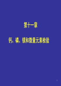 钙、磷、镁和微量元素检验