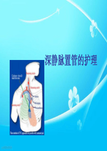 74深静脉置管的护理