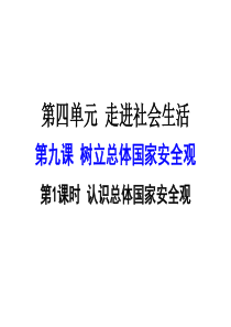 989.1认识总体国家安全观