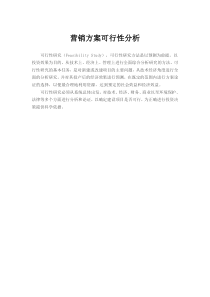 营销方案可行性分析