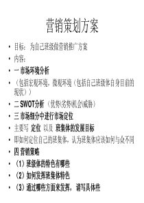 营销方案格式