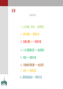 梦泰山啤酒城招商简介0805