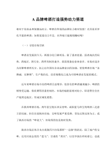 A品牌啤酒打造强势动力渠道(12)