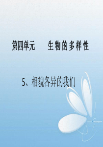 4-5相貌各异的我们