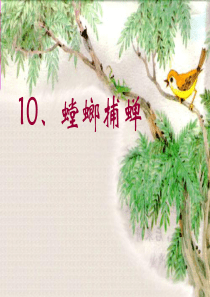 螳螂捕蝉PPT课件第二课时