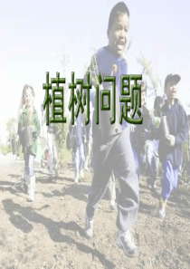 植树问题-完整版