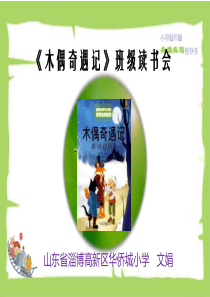 14《木偶奇遇记》班级读书会课件.2017