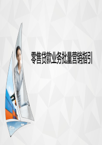 银行零售贷款业务批量营销指引