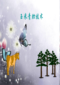 玉米青贮技术培训资料