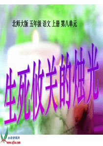 北师大版五年级语文上册《生死攸关的烛光》PPT课件