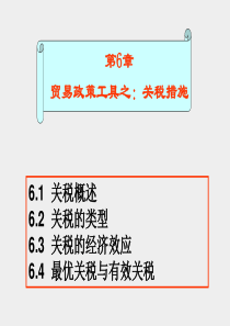 大学国际贸易经典课件第6章 贸易政策工具之：关税措施