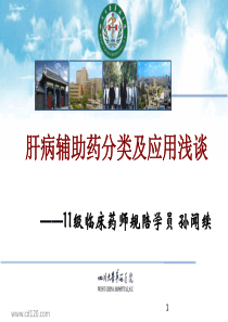 肝病辅助药 or 保肝药