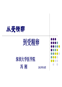 从受精卵到受精卵完整版