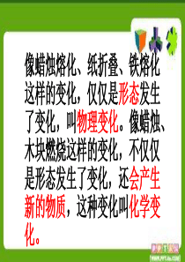 青岛版六年级科学第二单元复习