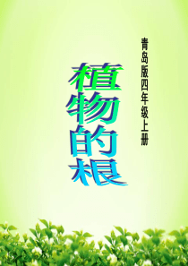 青岛版四年级上册科学9《植物的根》