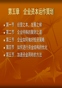 企业资本运作策划