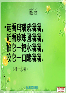 10 葡萄沟PPT课件-二年级语文下册