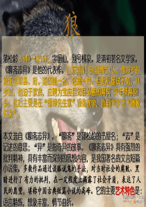 58《狼》PPT课件