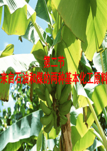 高中化学课件苯完整课件模板