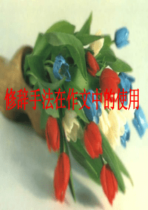 修辞手法在作文中的使用