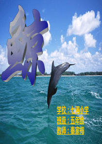 人教版五年级上册第九课《鲸》公开课课件