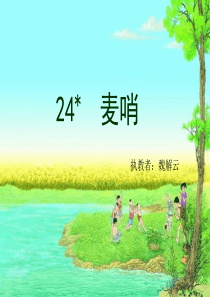 24.麦哨(完美版)