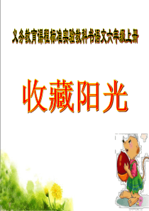 《收藏阳光》课件