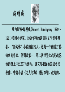 六年级上册-老人与海-ppt课件