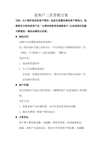 二次营销方案