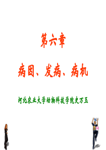 7 病因、病机