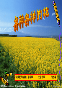 科教版四年级下册科学各种各样的花