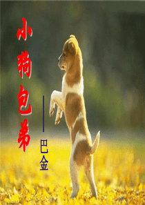 《小狗包弟》公开课优秀教案PPT