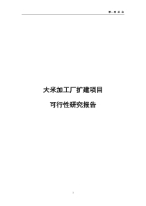 大米加工厂扩建项目可行性研究报告(53P)