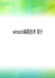 网络Ping命令设计PPT