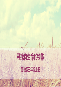 苏教版科学三年级上册《寻找有生命的物体》