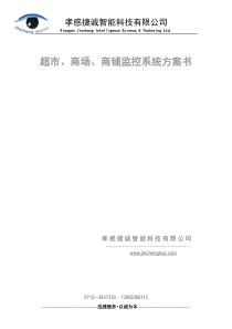 公司方案说明