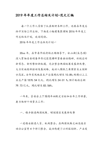 2019年年度工作总结及计划-范文汇编