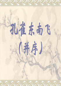 7孔雀东南飞