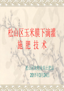 松山区玉米膜下滴