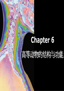 普通生物学_6高等动物的结构与功能